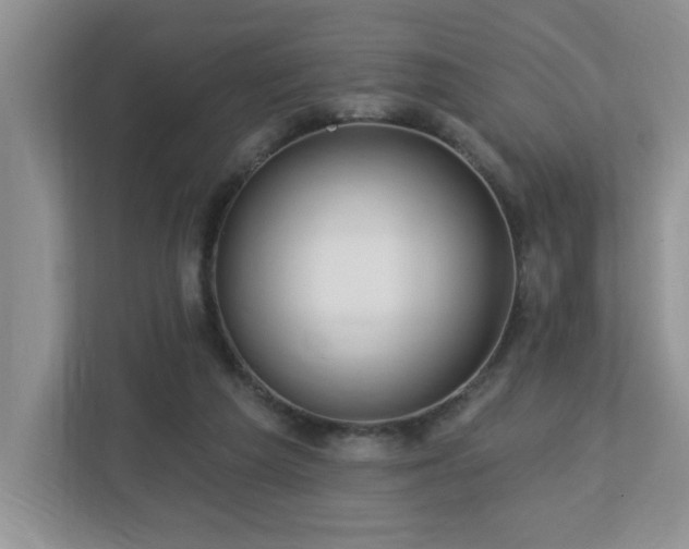 X0000112940209200908241327