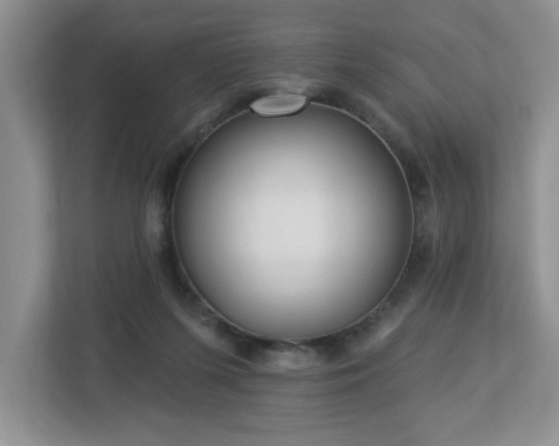 X0000112940215200908241327