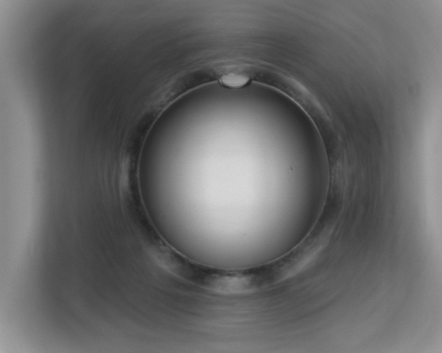 X0000112940217200908241327