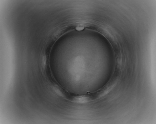 X0000112940219200908241327