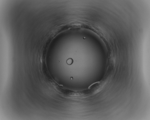 X0000112940223200908241327