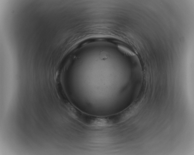 X0000112940227200908241327