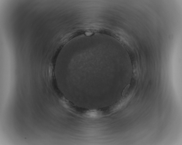 X0000112940231200908241327