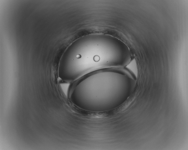 X0000112940235200908241327