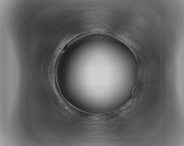 X0000112940241200908241326