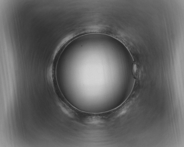 X0000112940244200908241326