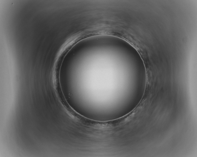 X0000112940245200908241326