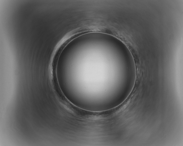 X0000112940246200908241326