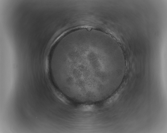 X0000112940247200908241326