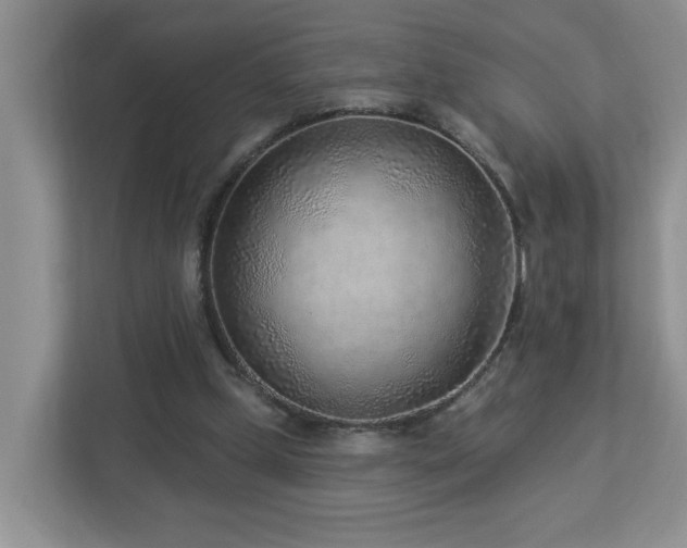 X0000112940249200908241326