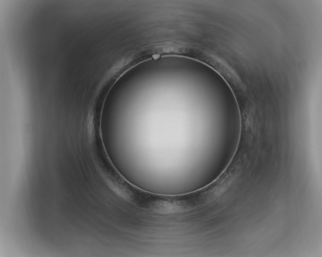 X0000112940250200908241326