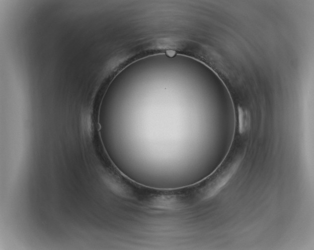X0000112940252200908241326