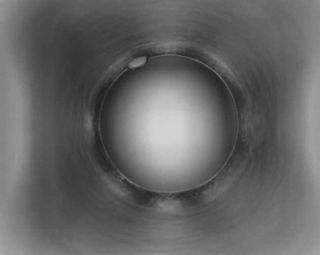 X0000112940258200908241326