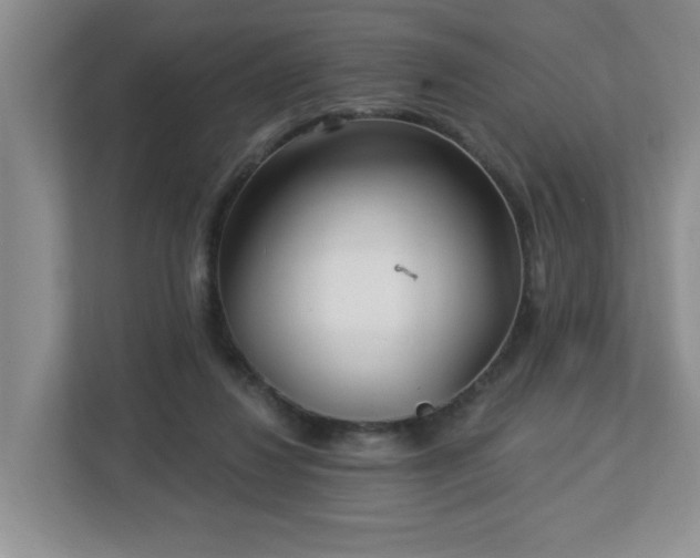 X0000112940260200908241326
