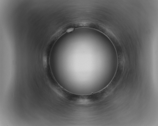 X0000112940262200908241326