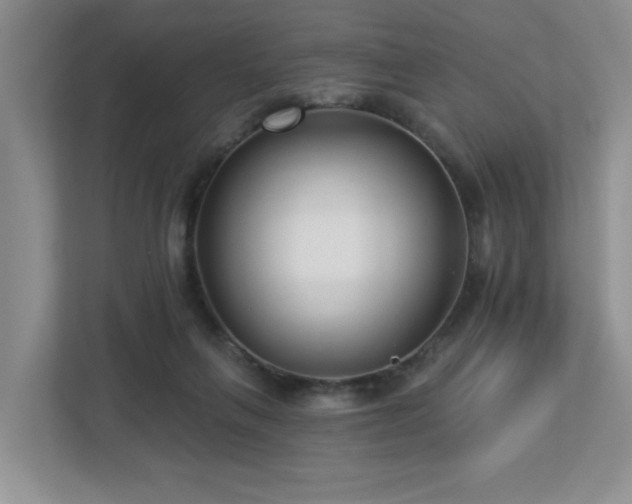 X0000112940263200908241326