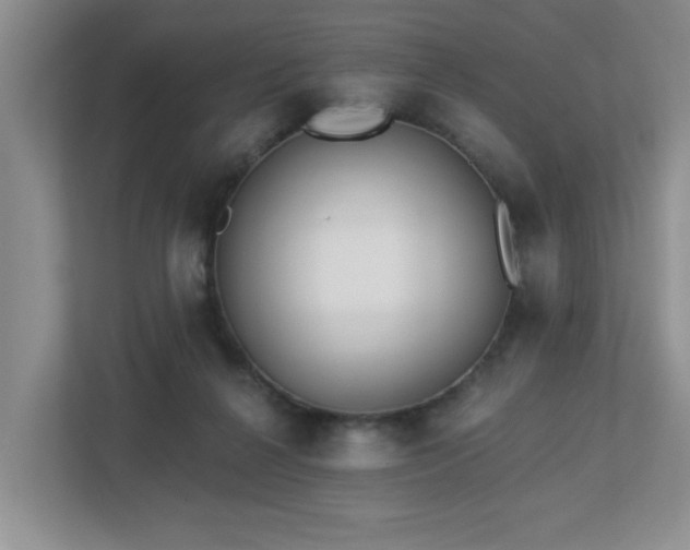 X0000112940264200908241326