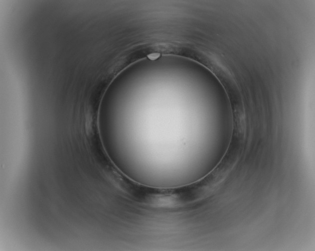 X0000112940266200908241326