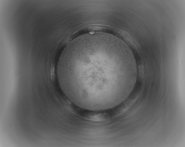 X0000112940267200908241326