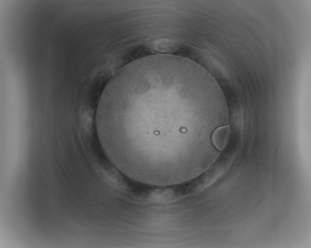 X0000112940271200908241326