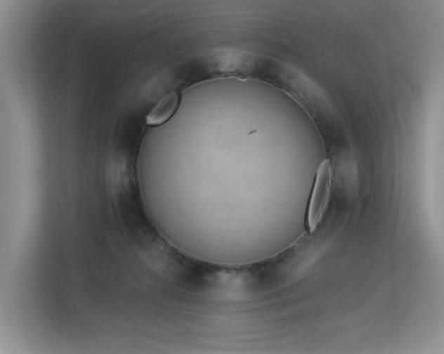X0000112940272200908241326