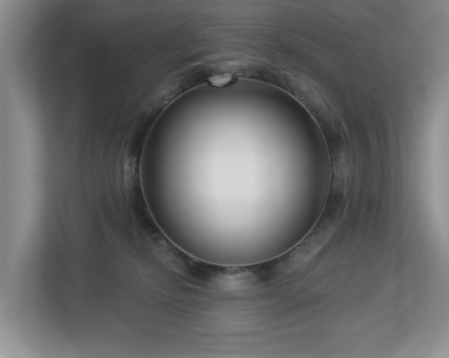X0000112940278200908241326