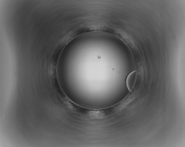 X0000112940281200908241326