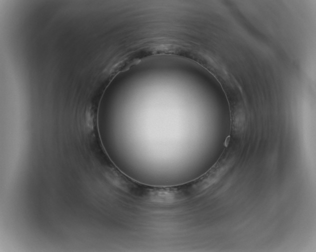 X0000112940282200908241326
