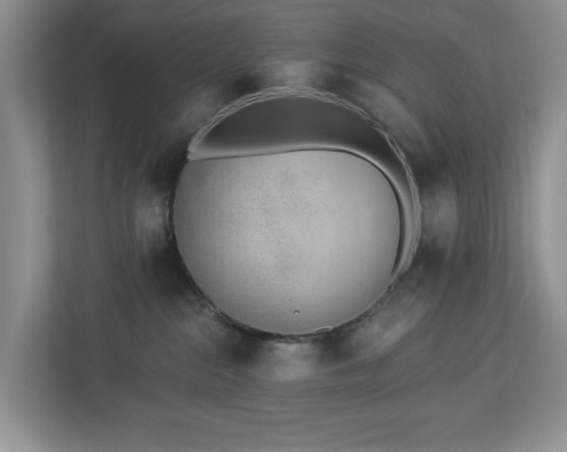 X0000112940284200908241326