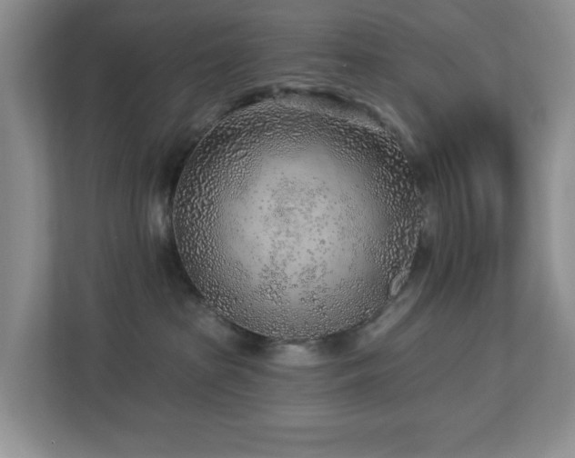 X0000112940285200908241326