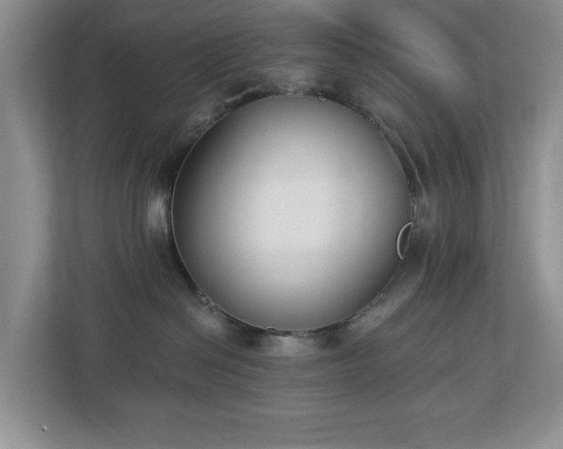 X0000112940286200908241326