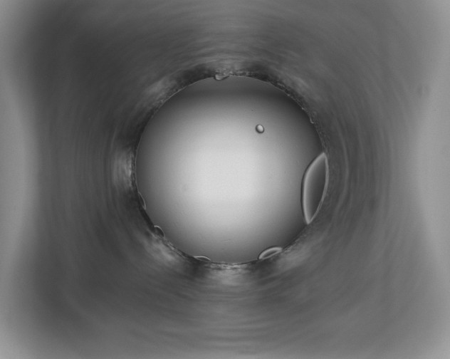 X0000112940288200908241326