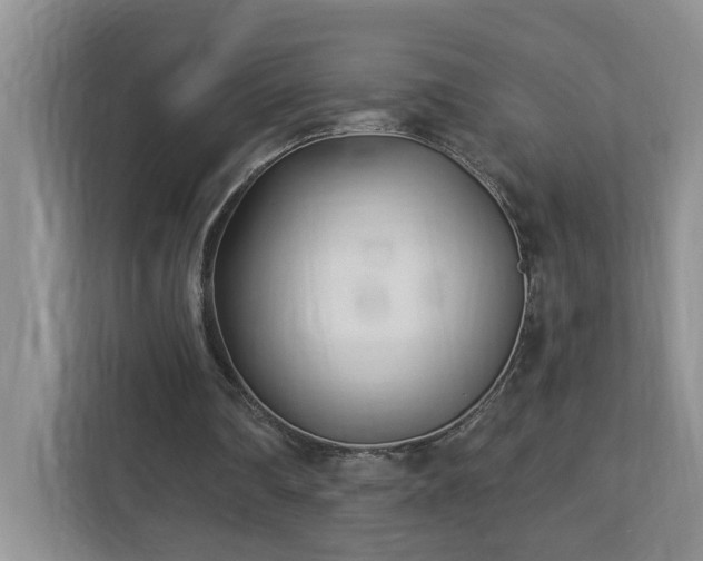 X0000112940290200908241326