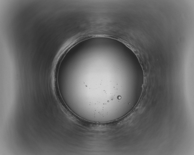 X0000112940293200908241326