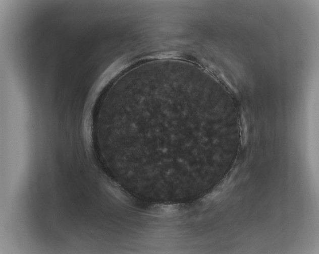 X0000112940295200908241326