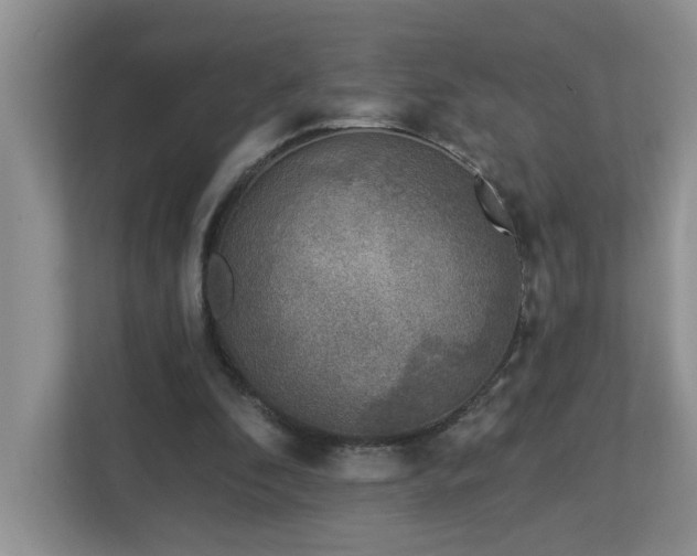 X0000112940296200908241326