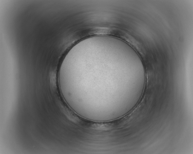 X0000112940297200908241326