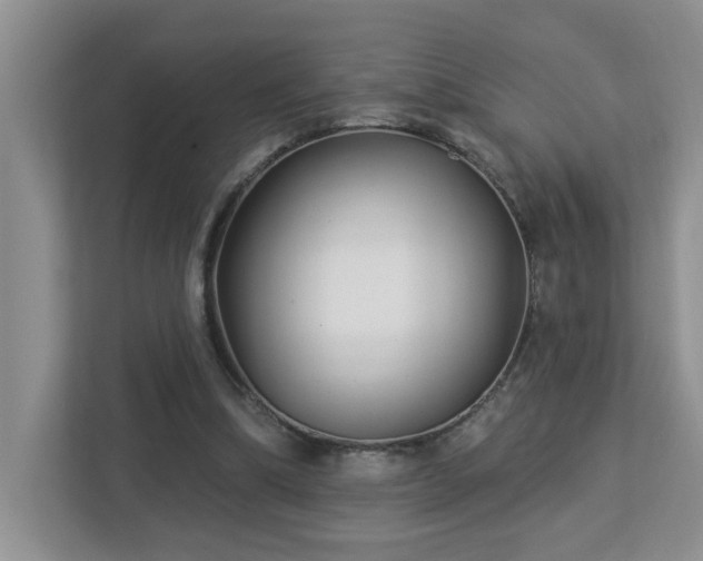 X0000112940298200908241326