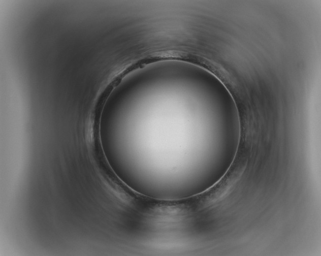 X0000112940299200908241326