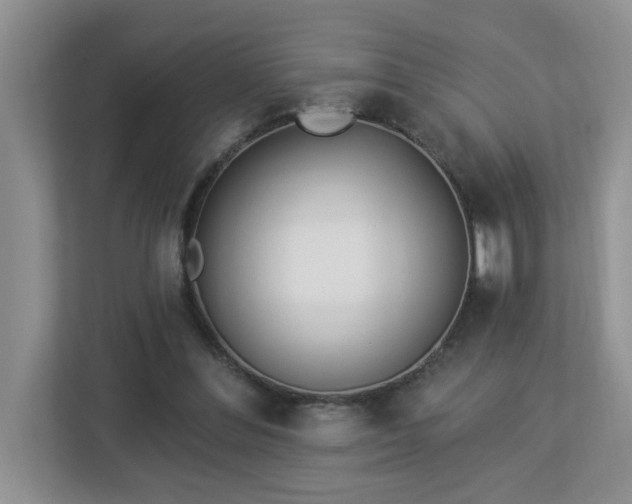 X0000112940300200908241326