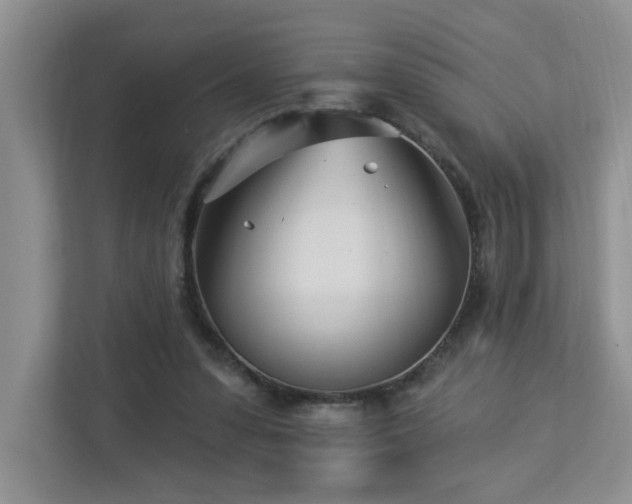 X0000112940303200908241326