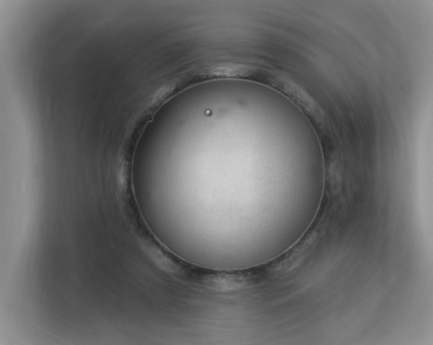 X0000112940305200908241326