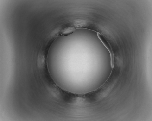 X0000112940308200908241326