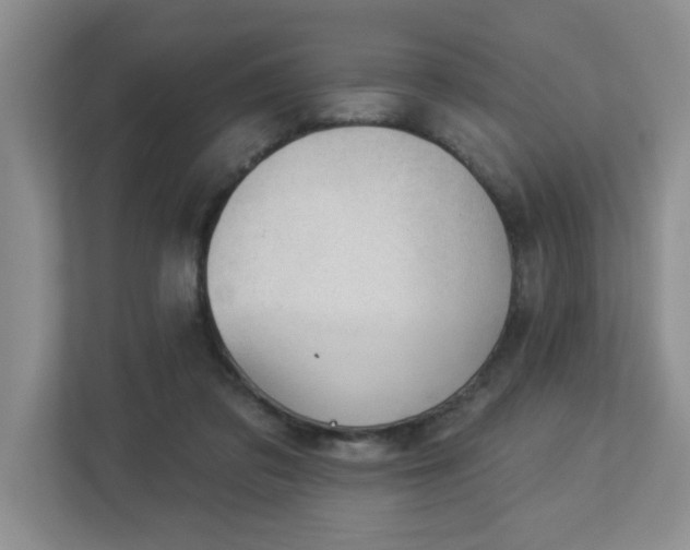 X0000112940309200908241326