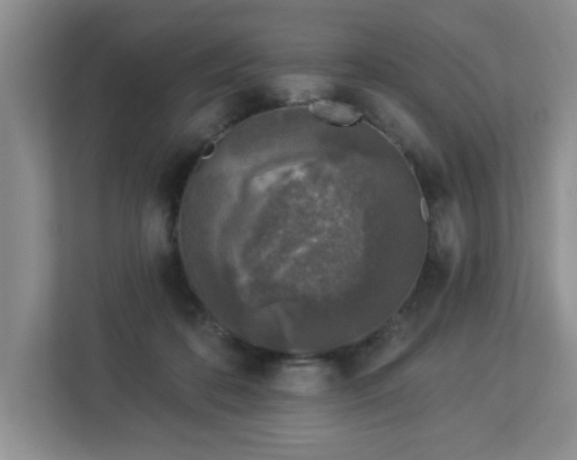 X0000112940316200908241325