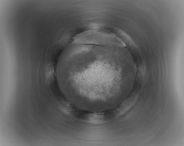 X0000112940320200908241325