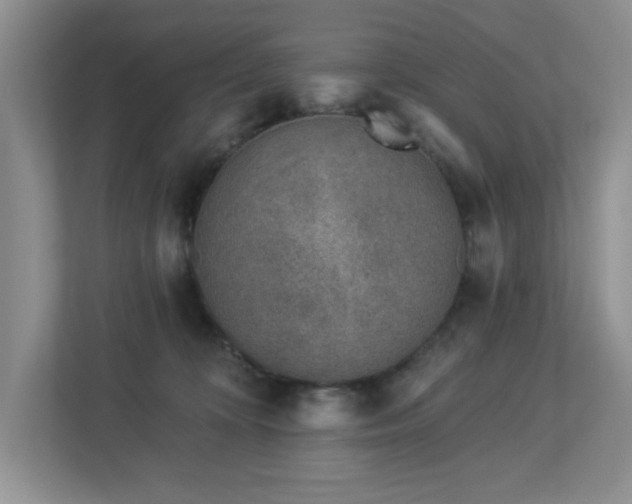 X0000112940324200908241325