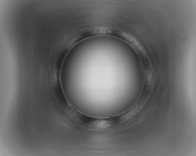 X0000112940326200908241325