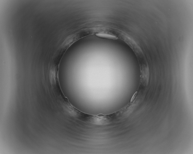 X0000112940333200908241325