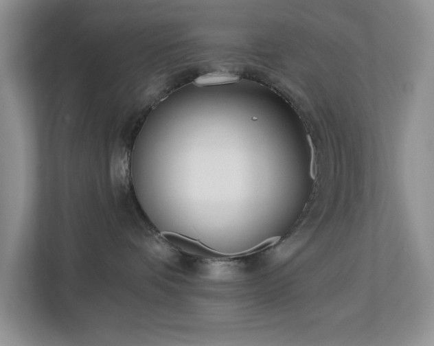 X0000112940336200908241325